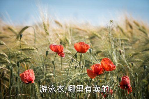 游泳衣,哪里有賣的