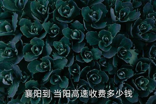  襄陽到 當(dāng)陽高速收費(fèi)多少錢