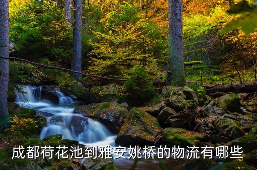 成都荷花池到雅安姚橋的物流有哪些