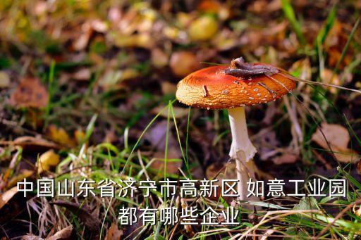 中國(guó)山東省濟(jì)寧市高新區(qū) 如意工業(yè)園都有哪些企業(yè)