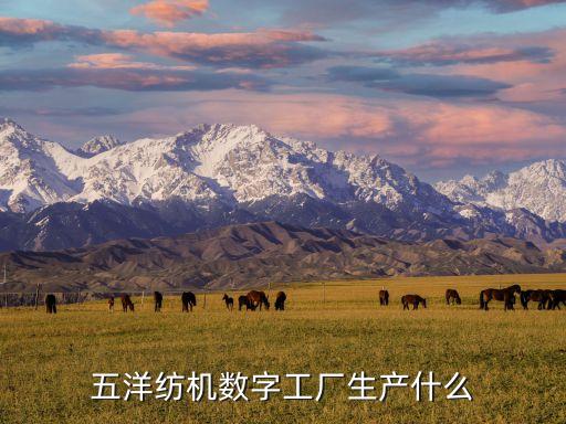五洋紡機(jī)數(shù)字工廠生產(chǎn)什么