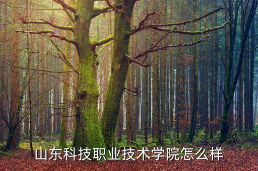 山東科技職業(yè)技術學院怎么樣
