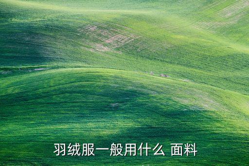 進口羽絨服面料,羽絨服的常用面料及特點