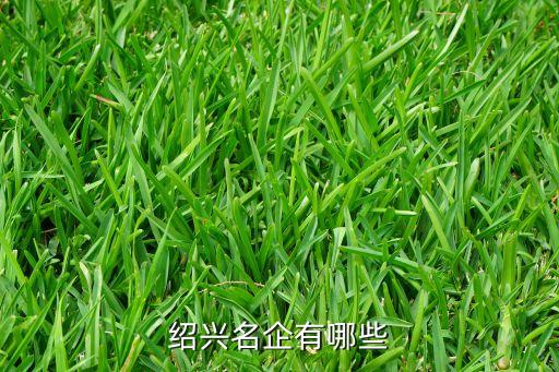 紹興名企有哪些