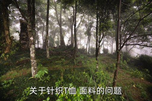 關(guān)于針織T恤 面料的問題