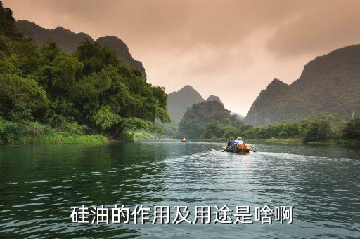  硅油的作用及用途是啥啊