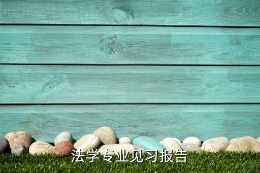 法學(xué)專業(yè)見習(xí)報(bào)告
