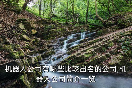 機(jī)器人公司有哪些比較出名的公司,機(jī)器人公司簡(jiǎn)介一覽