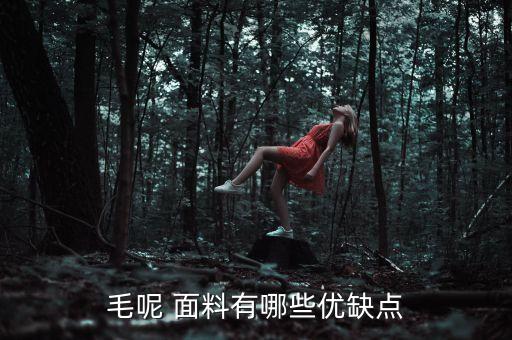 廣東呢子面料,最好的呢子面料是哪一種