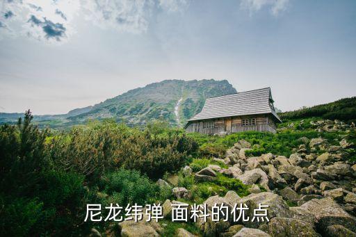 彈力面料的好外,彈力真絲是什么面料