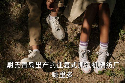  尉氏青島出產(chǎn)的往復(fù)式抓包機(jī)棉紡廠哪里多