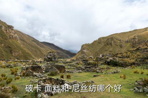 破卡 面料和 尼絲紡哪個好