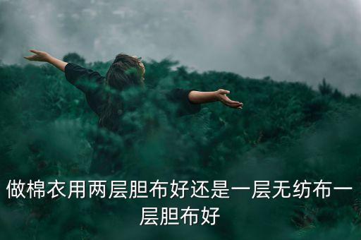 做棉衣用兩層膽布好還是一層無紡布一層膽布好