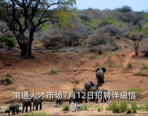南通辰歌紡織科技有限公司