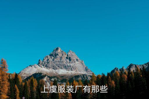 上虞服裝廠有那些