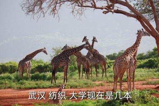 武漢紡織大學(xué)什么時(shí)候升一本