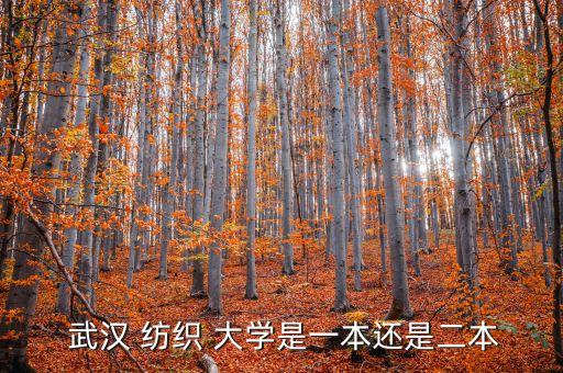  武漢 紡織 大學(xué)是一本還是二本