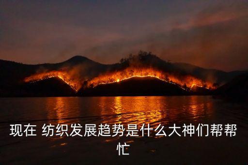 現(xiàn)在 紡織發(fā)展趨勢是什么大神們幫幫忙