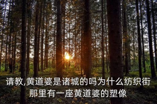 中國(guó)棉紡織工業(yè)中心,棉紡織工業(yè)的有利條件