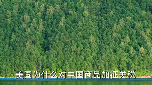 美國為什么對中國商品加征關稅