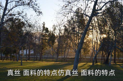 真絲 面料的特點仿真絲 面料的特點