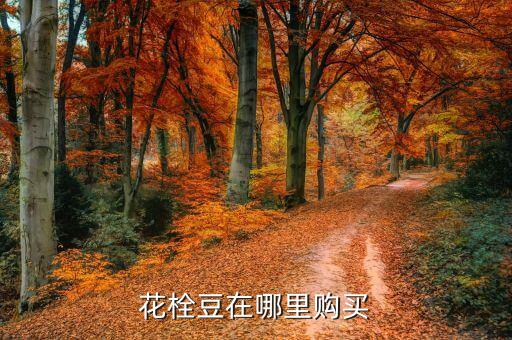 花栓豆在哪里購買