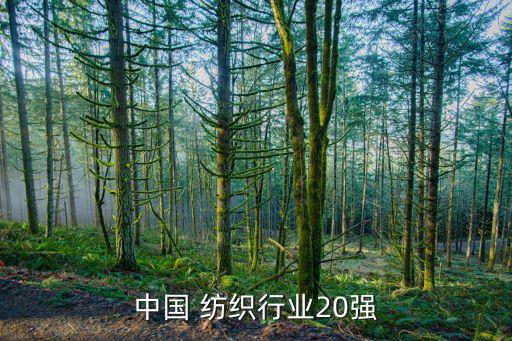 山東亞視紡織股份有限公司