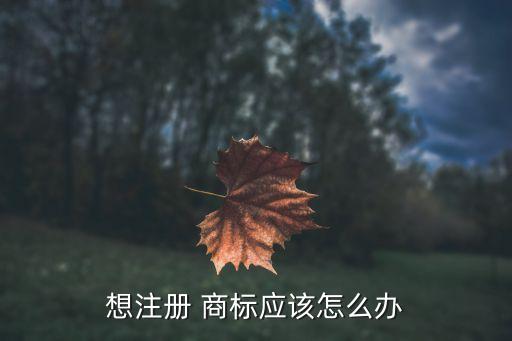 想注冊(cè) 商標(biāo)應(yīng)該怎么辦