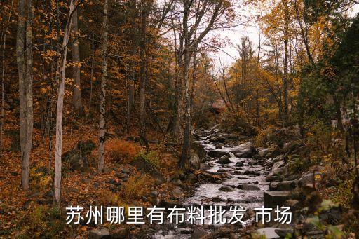 蘇州哪里有布料批發(fā) 市場(chǎng)