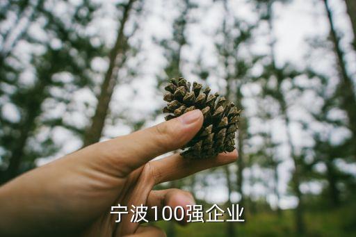 寧波100強(qiáng)企業(yè)