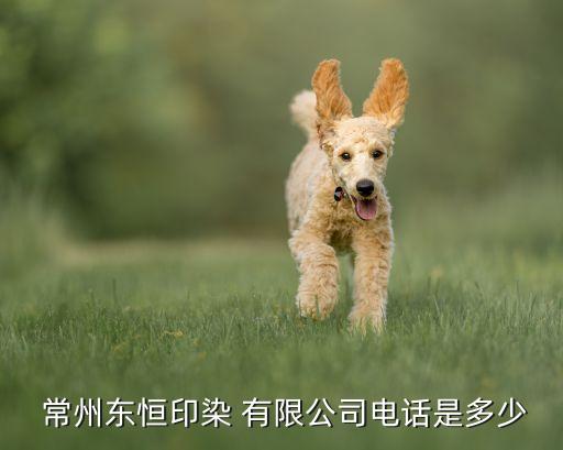  常州東恒印染 有限公司電話是多少