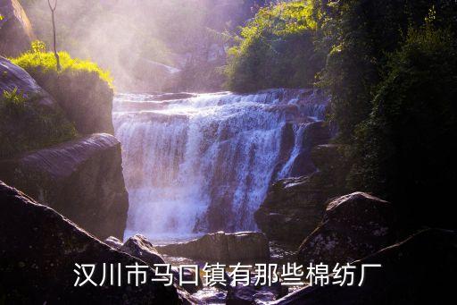 漢川市馬口鎮(zhèn)有那些棉紡廠