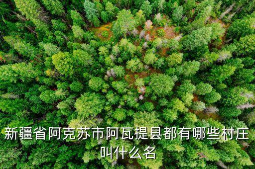 新疆省阿克蘇市阿瓦提縣都有哪些村莊叫什么名