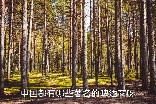 中國都有哪些著名的啤酒商呀