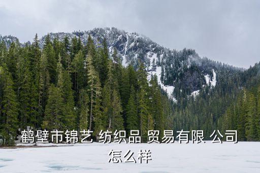 鶴壁市錦藝 紡織品 貿(mào)易有限 公司怎么樣
