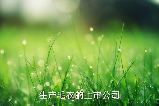 生產毛衣的上市公司