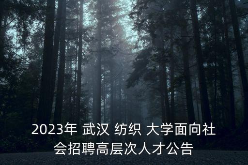 2023年 武漢 紡織 大學面向社會招聘高層次人才公告