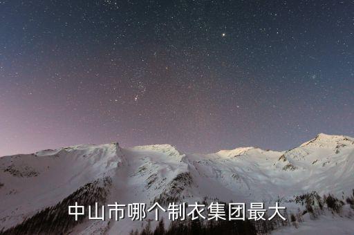 中山市哪個制衣集團最大