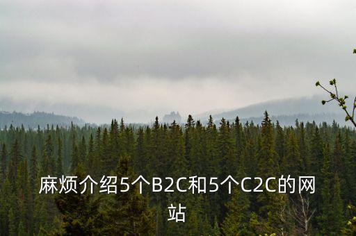 麻煩介紹5個B2C和5個C2C的網(wǎng)站