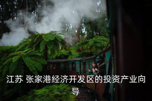 江蘇 張家港經(jīng)濟(jì)開發(fā)區(qū)的投資產(chǎn)業(yè)向?qū)? class=