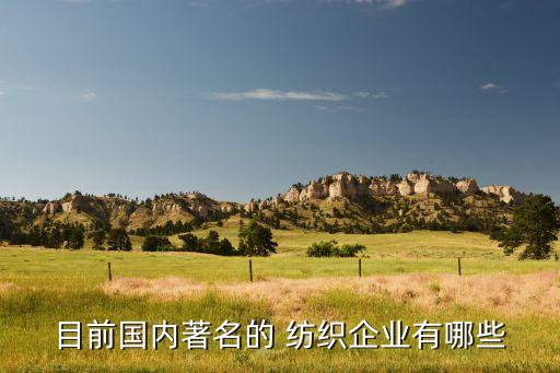 目前國(guó)內(nèi)著名的 紡織企業(yè)有哪些