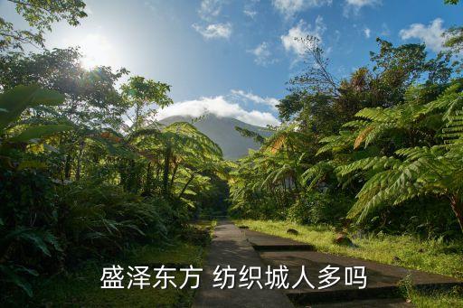 盛澤紡織網(wǎng)站,盛澤南華紡織董事長(zhǎng)