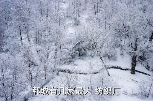江油俊華紡織有限公司,江油城市投資發(fā)展有限公司