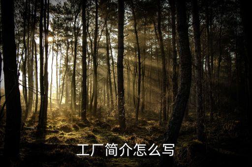 工廠簡(jiǎn)介怎么寫(xiě)
