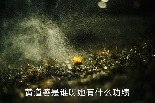 被譽(yù)為紡織家