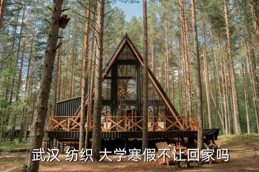  武漢 紡織 大學寒假不讓回家嗎