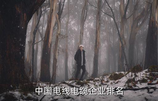紹興南洋染織有限公司
