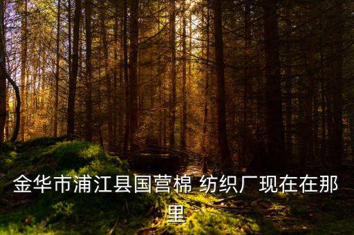 金華市浦江縣國營棉 紡織廠現(xiàn)在在那里