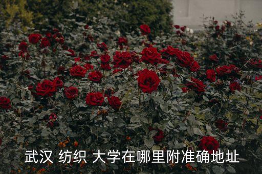  武漢 紡織 大學(xué)在哪里附準(zhǔn)確地址