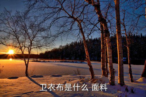  衛(wèi)衣布是什么 面料